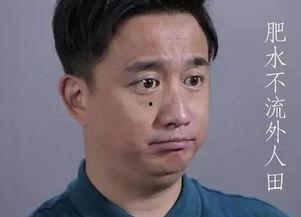 今日头条黄磊,揭秘娱乐圈的温馨家庭生活